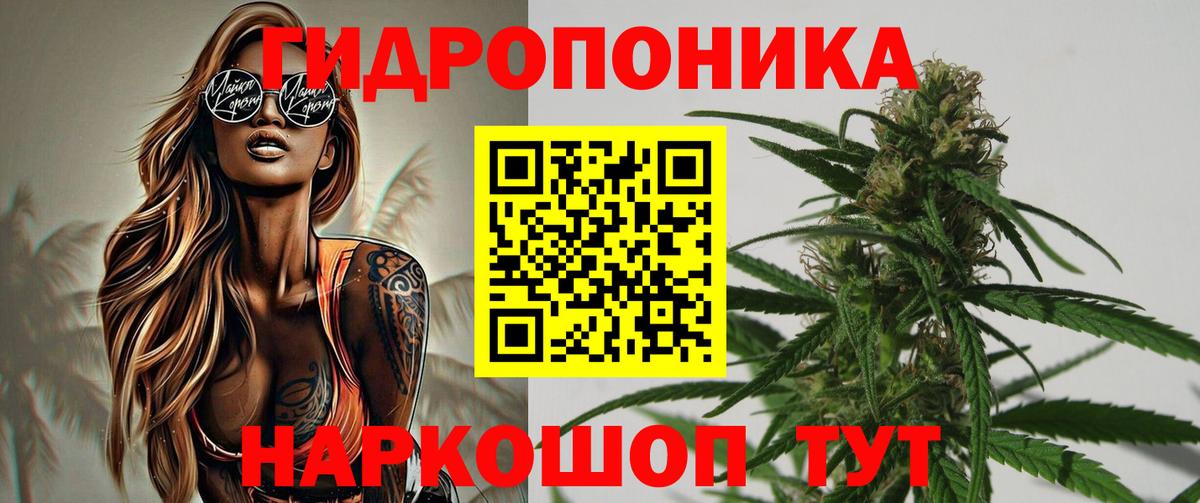 Шишки марихуана планчик Краснокаменск